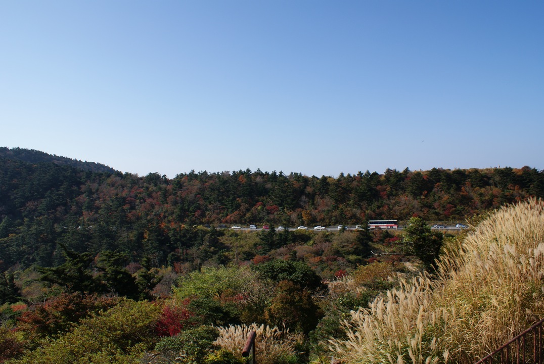 f0068368_1918583.jpg