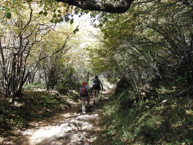 c0042869_19351358.jpg