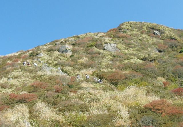 c0042869_19482375.jpg