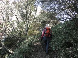 c0042869_19532914.jpg