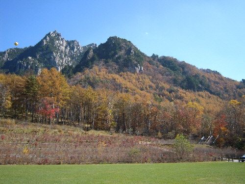 f0203369_19134943.jpg