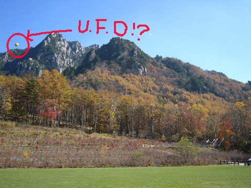 f0203369_1914162.jpg