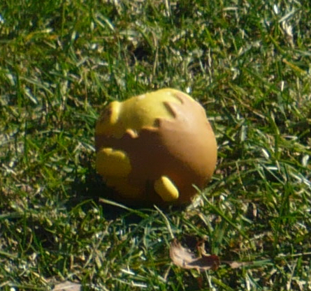 f0203369_19142568.jpg