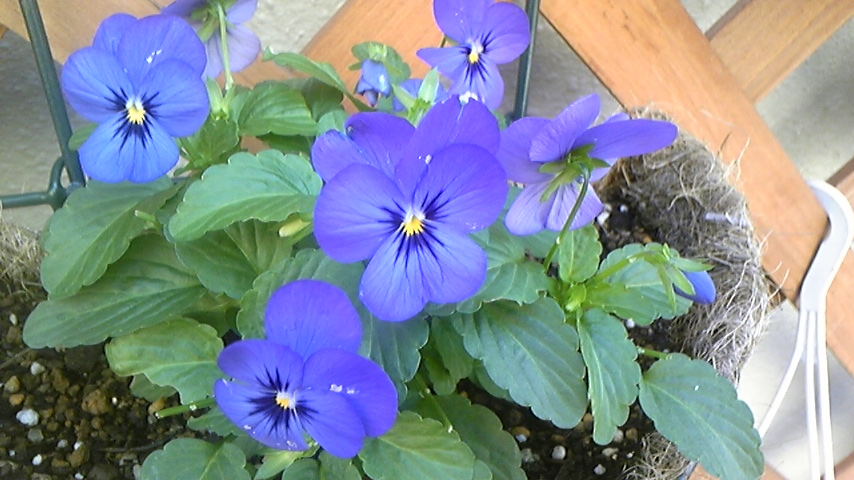 c0202870_23545195.jpg