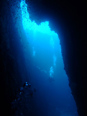 b0033573_1625745.jpg