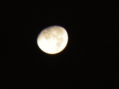 c0022275_1633046.jpg