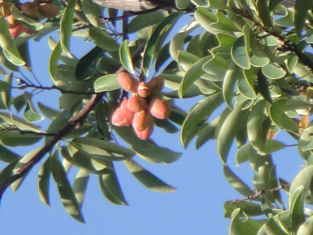 f0137275_6102713.jpg