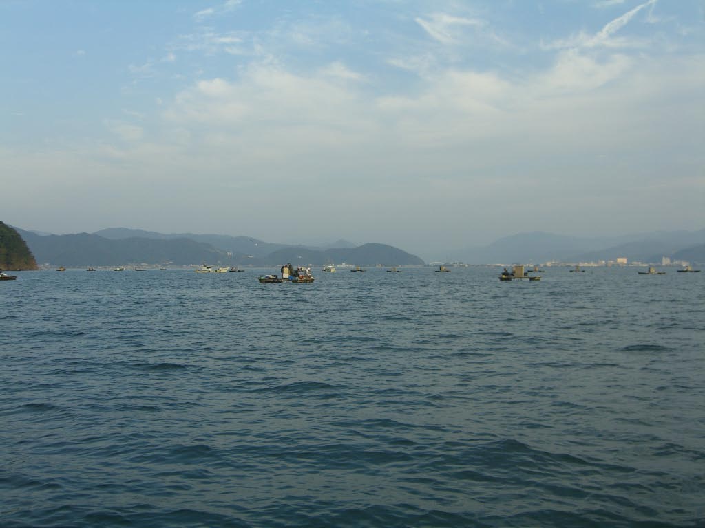 e0023183_4492927.jpg