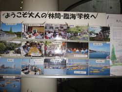 f0053885_205195.jpg
