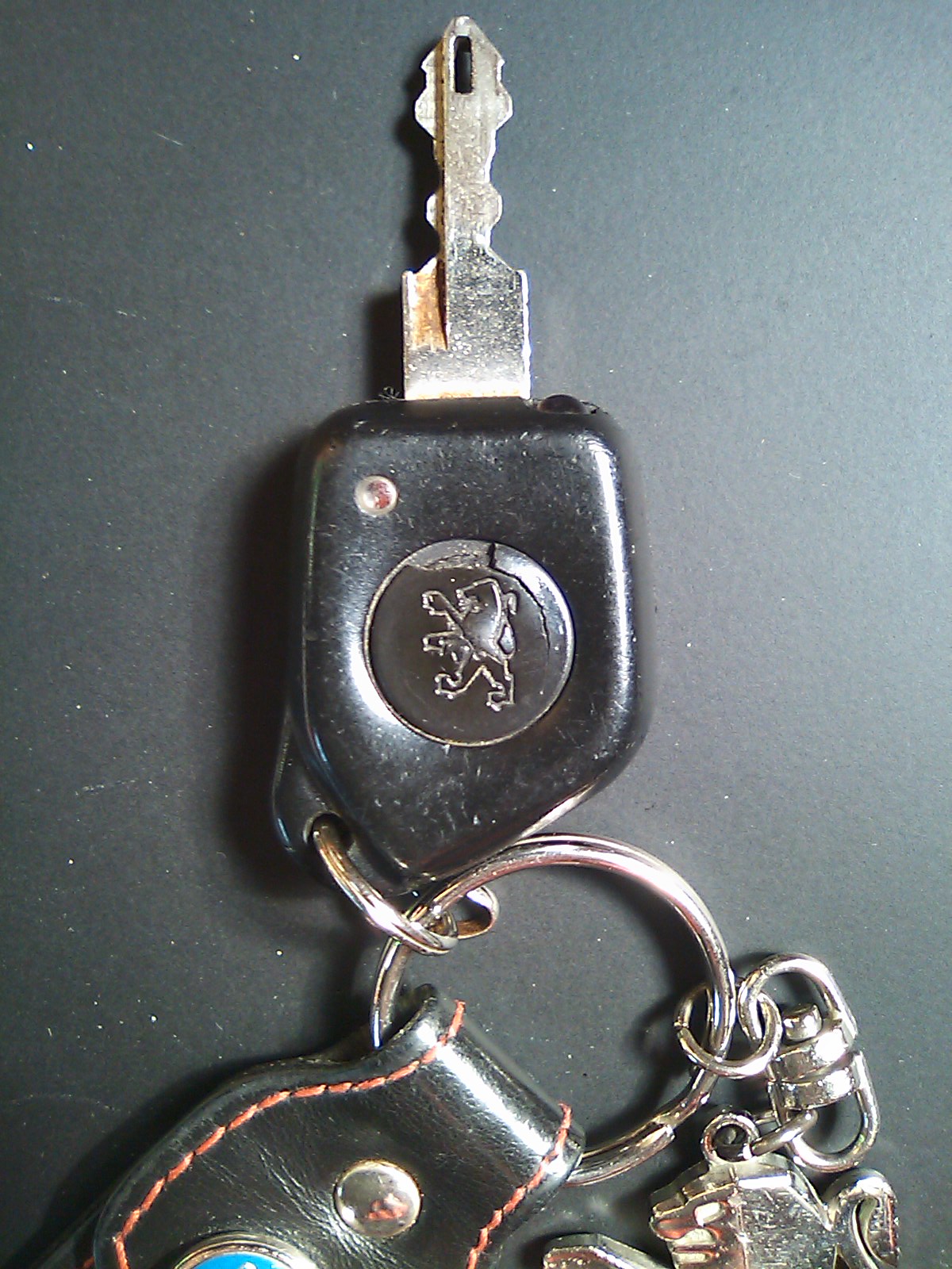 c0184491_222553.jpg