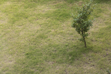 d0133693_2105287.jpg