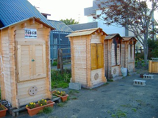 c0107997_859424.jpg