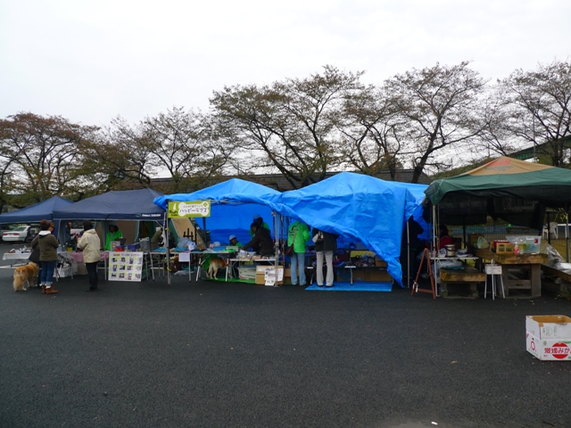 f0001698_1102432.jpg