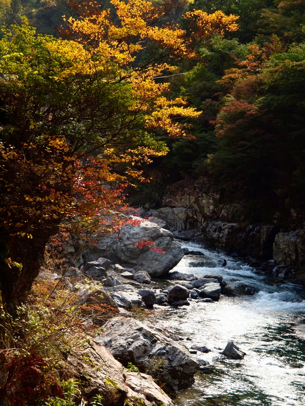 b0138101_17274569.jpg