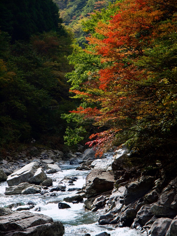 b0138101_17275680.jpg