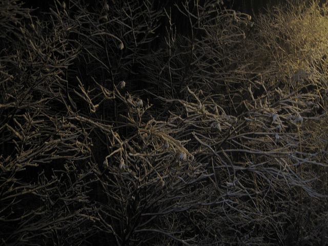 f0202703_22282829.jpg