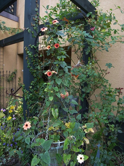 f0065604_2112769.jpg