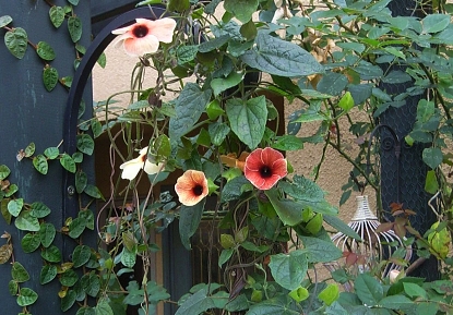 f0065604_2113762.jpg