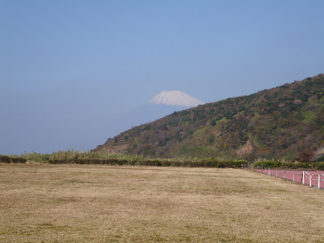 a0116205_2153889.jpg