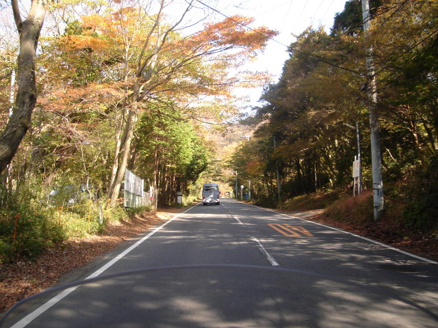 a0116205_2154857.jpg