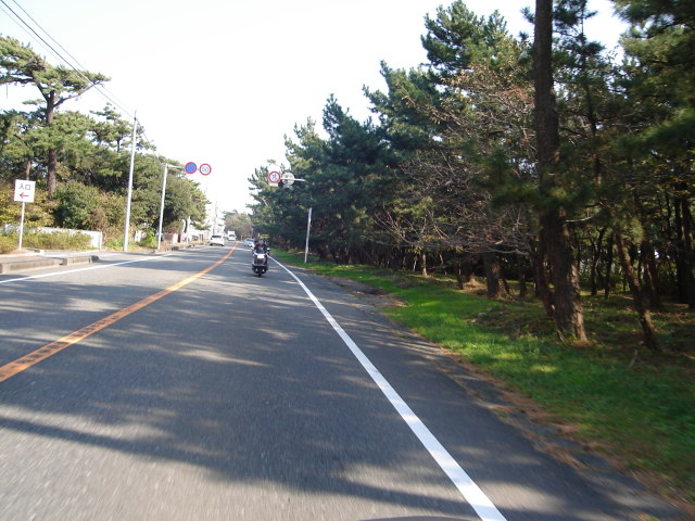 a0116205_2158351.jpg