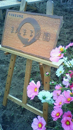 c0017505_18234152.jpg