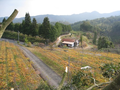 d0116205_11392347.jpg