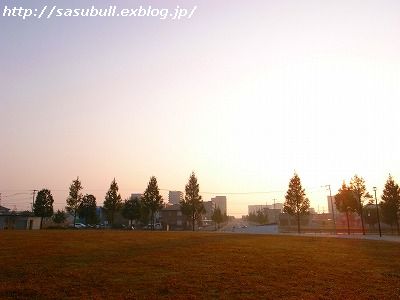 e0145805_1243179.jpg