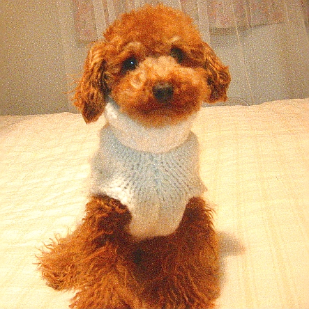 c0110906_1441043.jpg