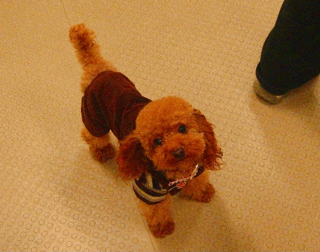 c0110906_14553025.jpg