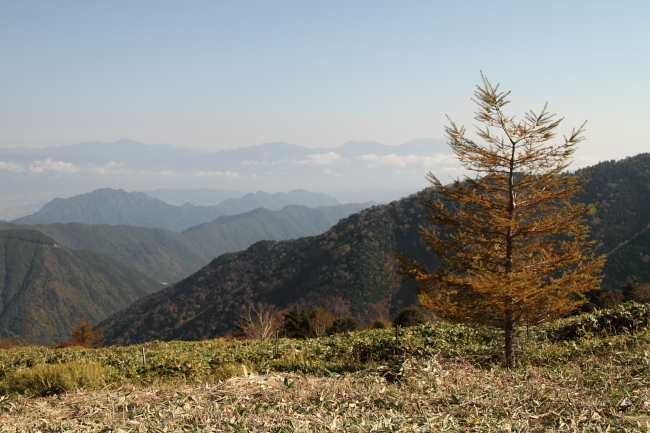 c0130306_2115567.jpg