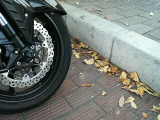 f0127408_23301771.jpg