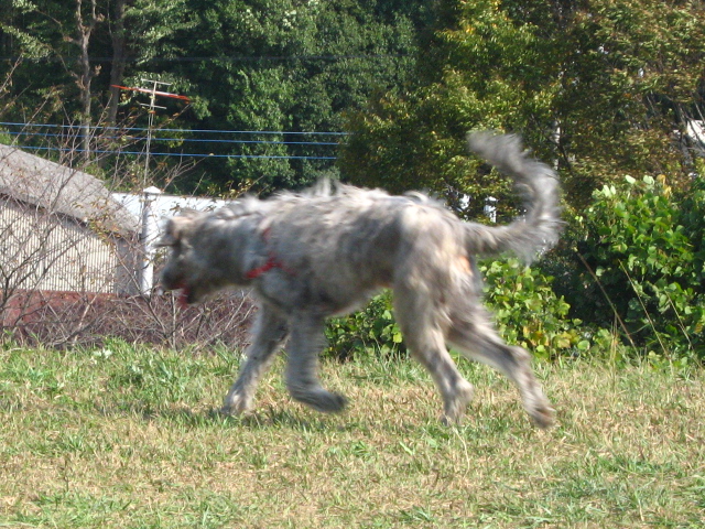 d0150309_21542828.jpg