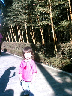 a0113310_22154410.jpg