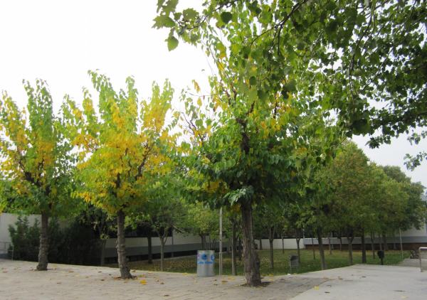 b0064411_0333417.jpg