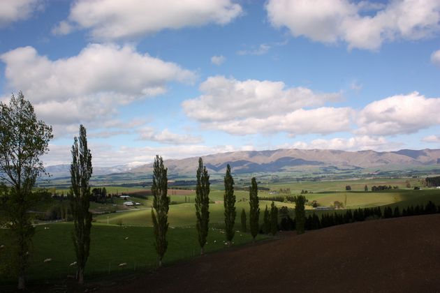 d0077811_1726943.jpg