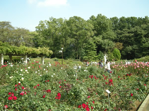 c0157412_19493128.jpg