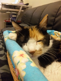 c0201113_20394436.jpg