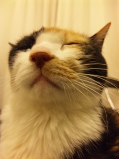 c0201113_2246436.jpg