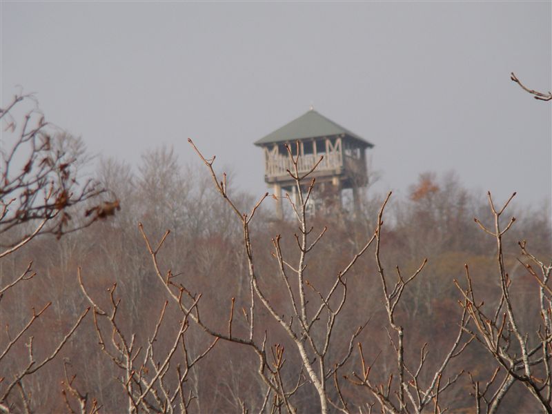 a0127015_2146171.jpg