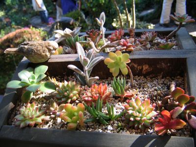 c0219815_2343251.jpg