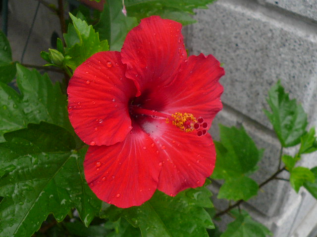 e0026017_1229395.jpg