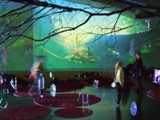 b0083918_14555720.jpg