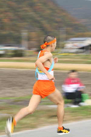 f0181018_21162281.gif