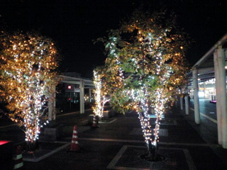 c0087320_18504192.jpg