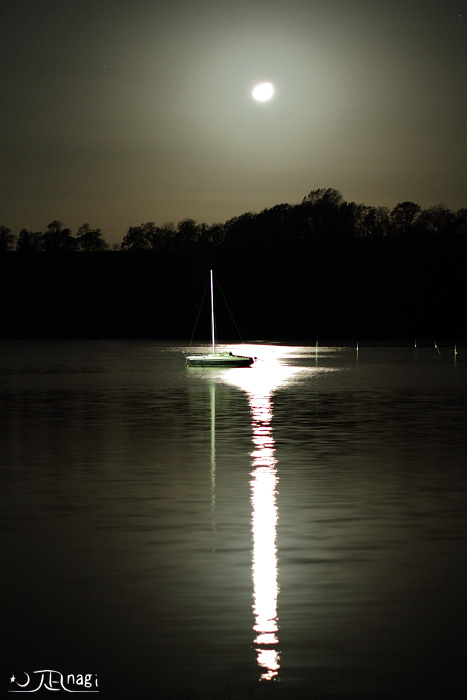 c0140721_172072.jpg