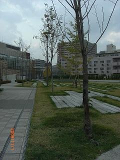 e0179321_10375540.jpg