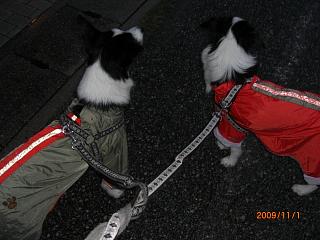 e0179321_18301994.jpg