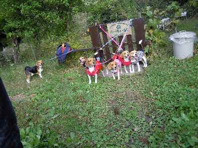 c0166622_21194367.jpg