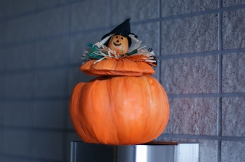 b0001324_20111698.jpg